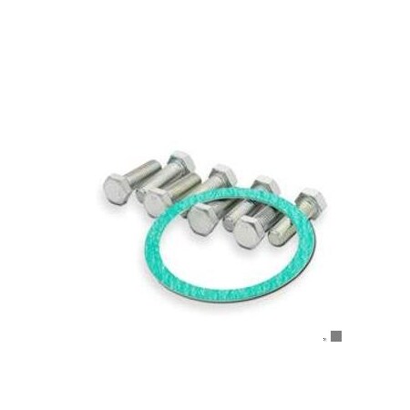 Siemens 4 in. service kit 125# flg 599-09238